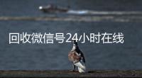 回收微信号24小时在线秒结（回收微信号24小时交易平台）